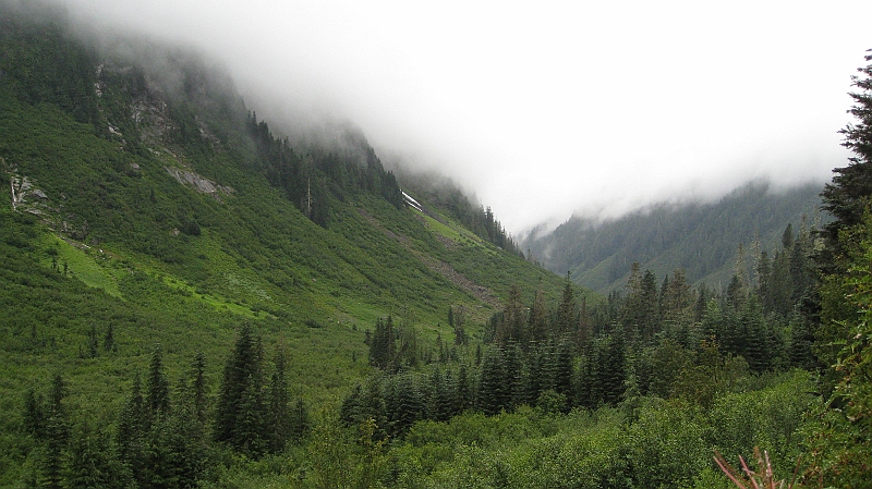 IMG_5105.JPG - Looking up the valley toward Hannegan Pass