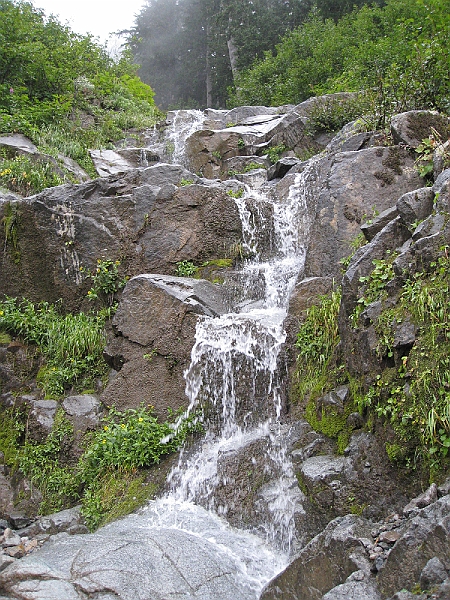 IMG_5127.JPG