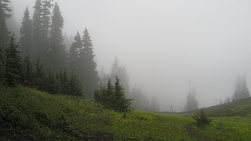 IMG_5130.JPG