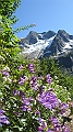 IMG_5318