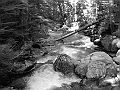 IMG_5473