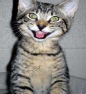 LISA BABY PIC