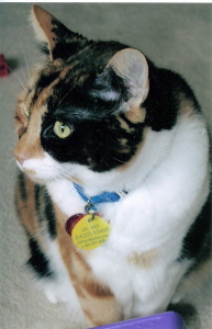 Lucy now